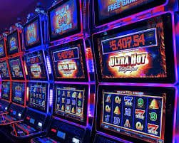 baazi mobile app browsing across sports interest and casino-style entertainment